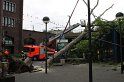 Baum umgestuerzt Koeln U Bahn Hansaring P08